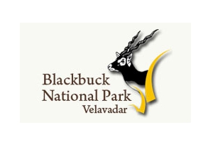 Black Buck NationalPark